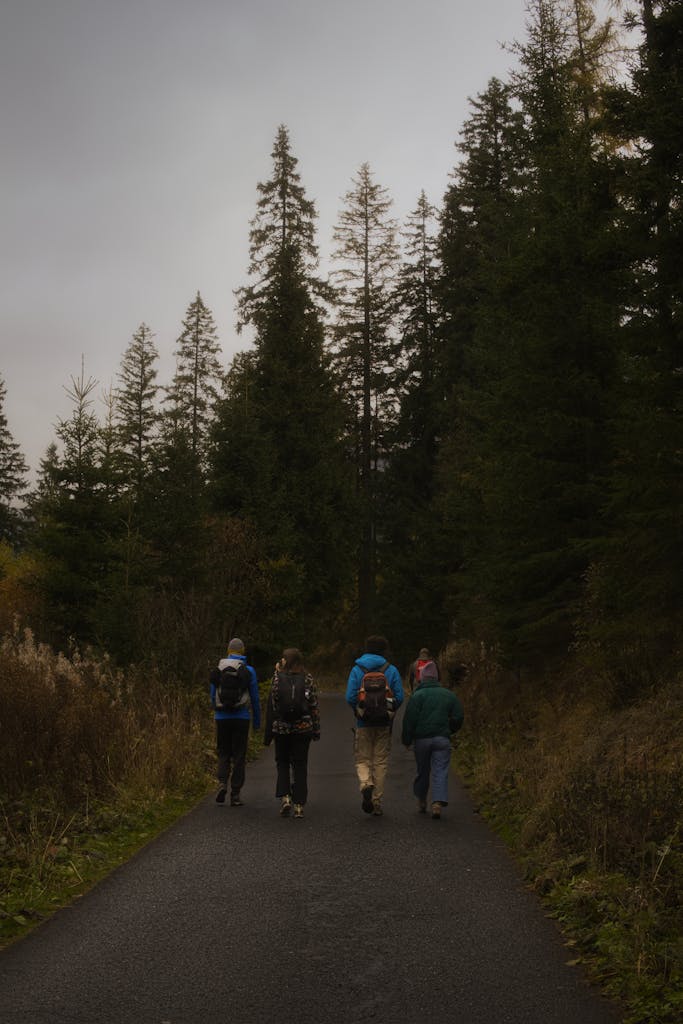 A group of hikers explores an autumn forest in Slovakia's Tatra Mountains.