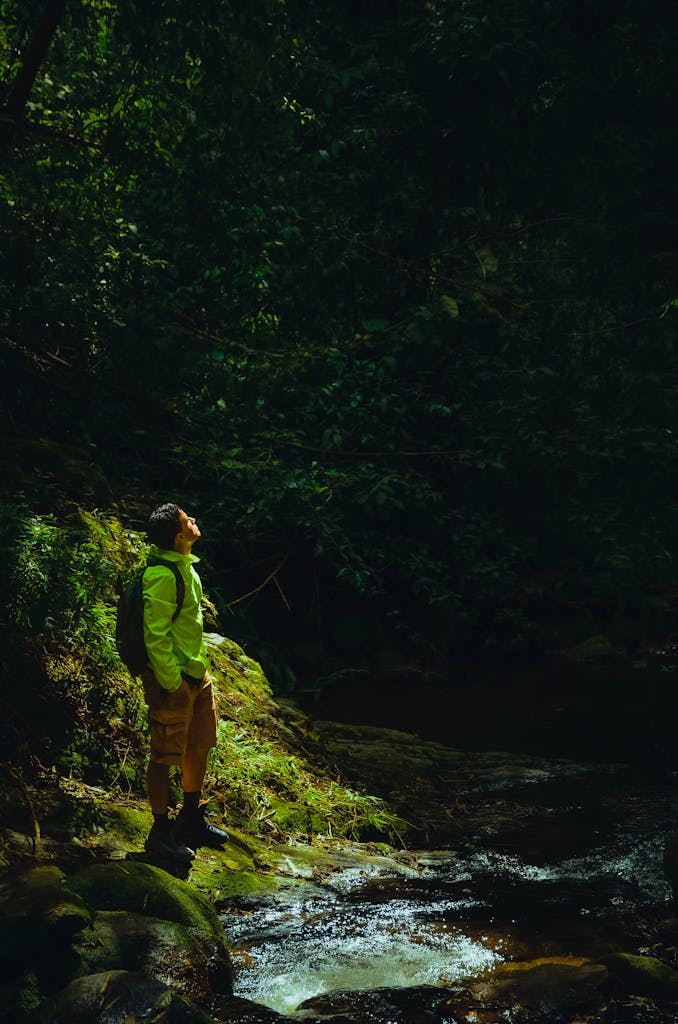 A hiker in bright clothing explores a lush, wooded area by a river in El Ávila National Park, Venezuela.