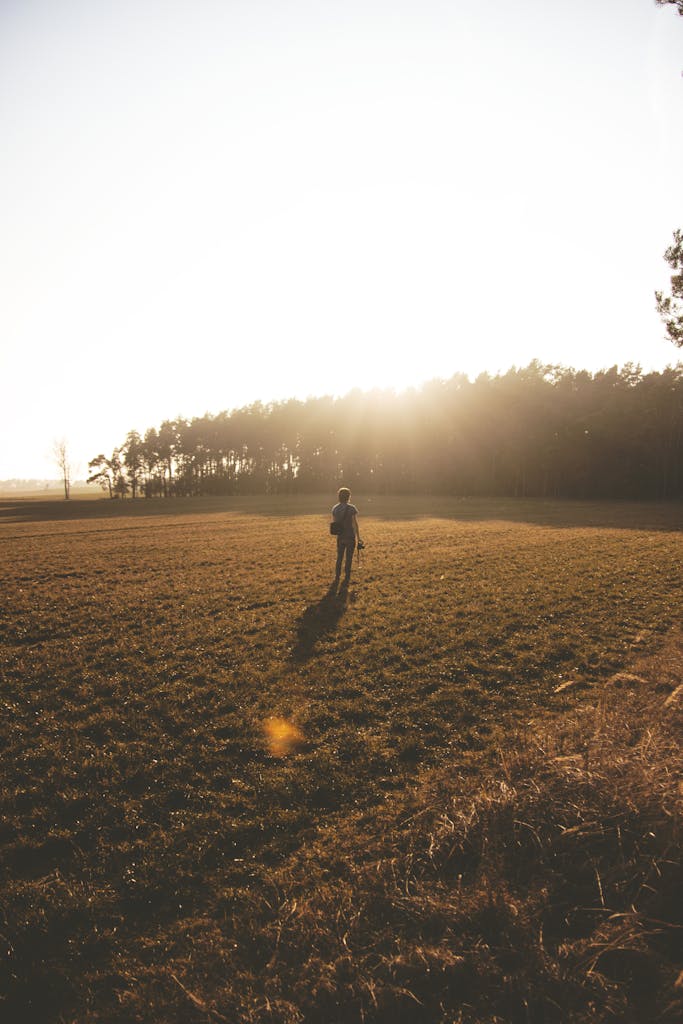A lone figure walking in a sunlit field during sunset near Rheinsberg, Germany.