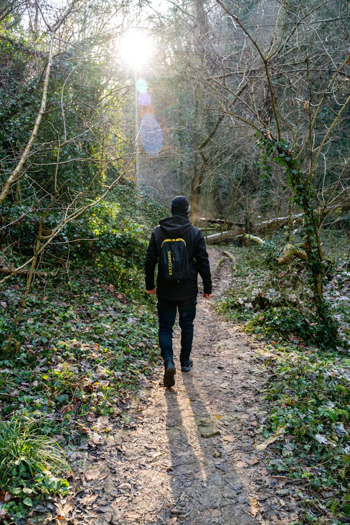 A person walks through a sunlit forest trail, showcasing the beauty of nature and adventure in winter.