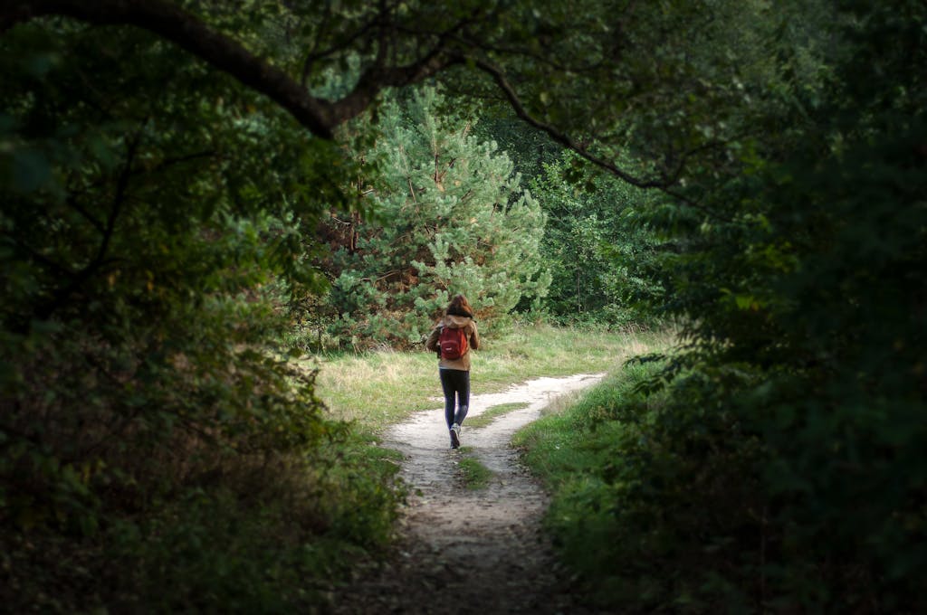 Anonymous distant backpacker with rucksack strolling on trail in woods with lush green trees during trekking in nature on summer day