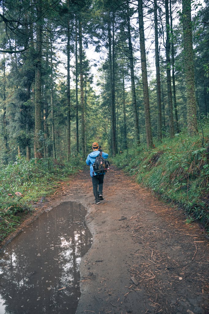 Back view of a hiker walking on a forest trail in Valle de Bravo, Mexico.