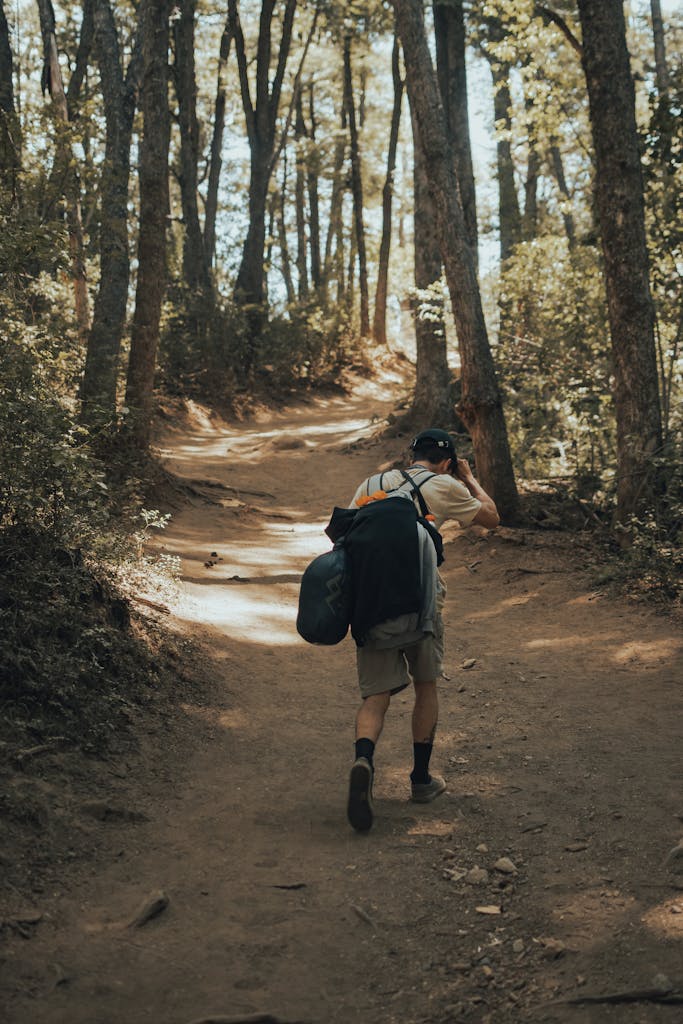 Back view of anonymous man traveler with backpack walking on pathway along green forest in sunny day