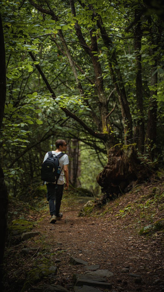 Explore the beauty of nature with a hiker walking through a lush forest in Bursa, Turkey.