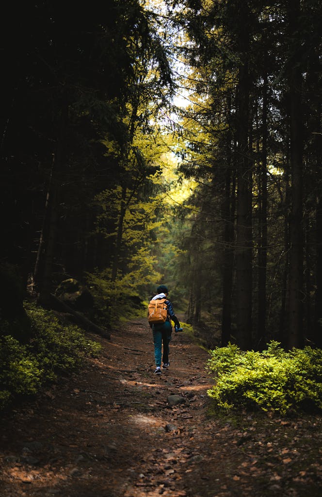 Woman hiking through dense forest trail in Zittau, Germany, showcasing lush greenery and serene nature.