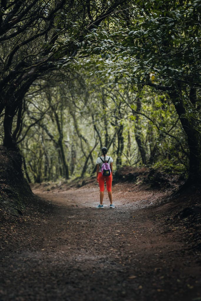 Woman hiking through lush forest trail in San Cristóbal de La Laguna, Spain. Perfect for adventure and travel themes.